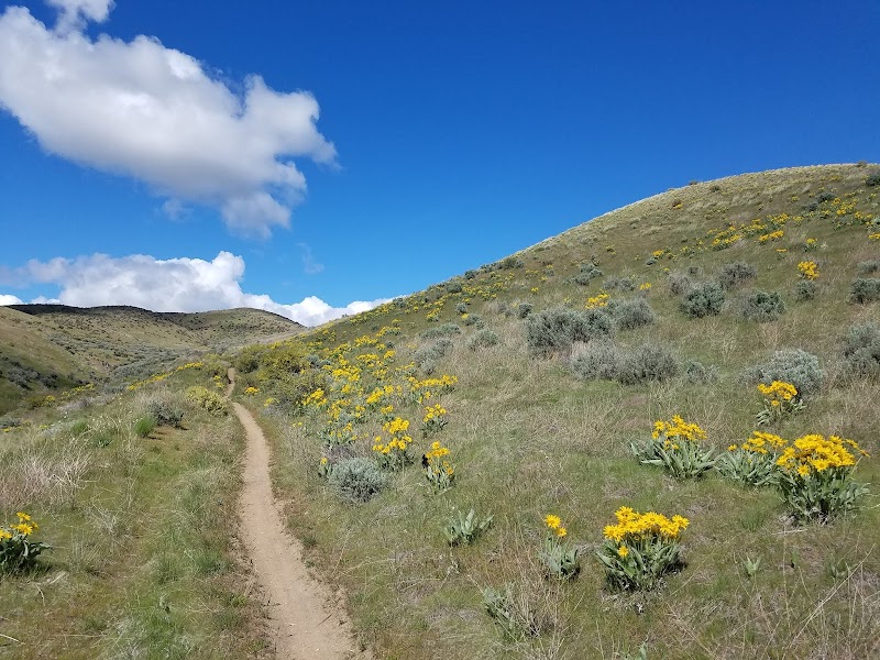 The Crow Gliding Area