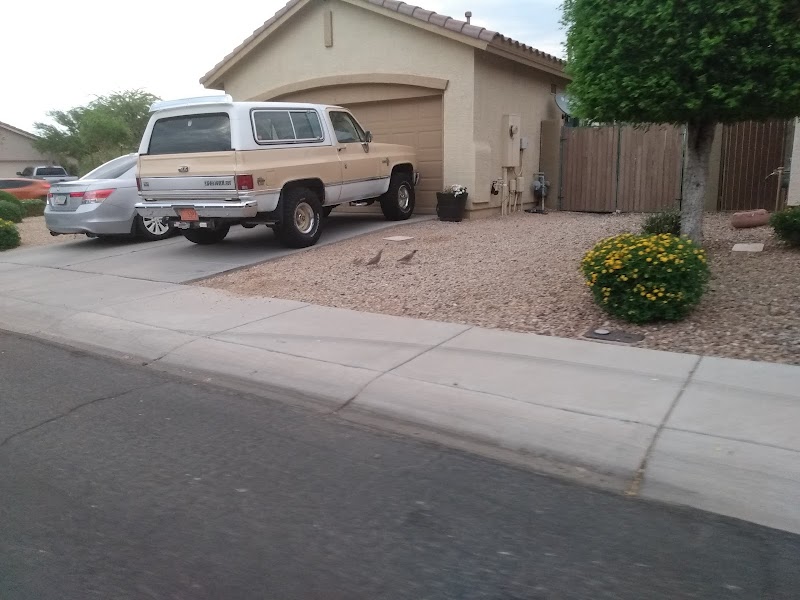 BLOSSOM/Lewis & Clark Park