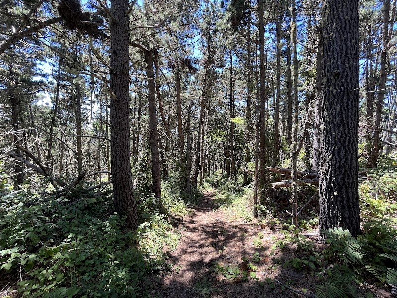 Phillip Burton Wilderness