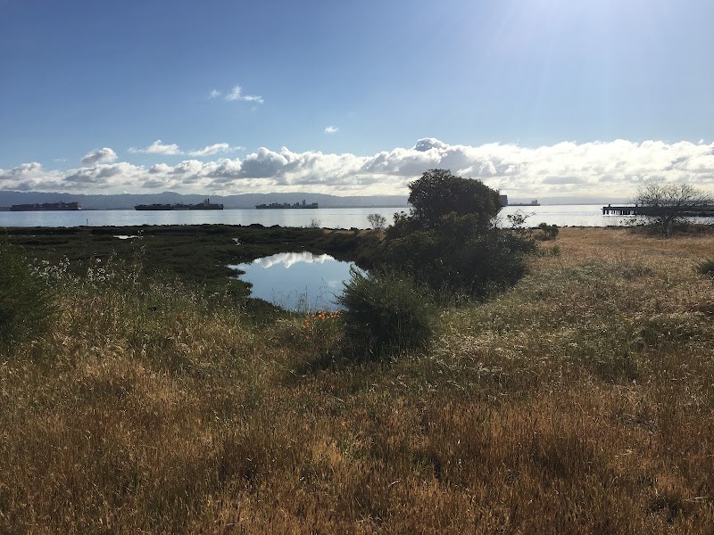 Pier 94 Wetlands