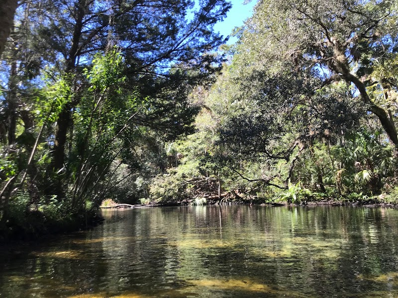 Chassahowitzka River