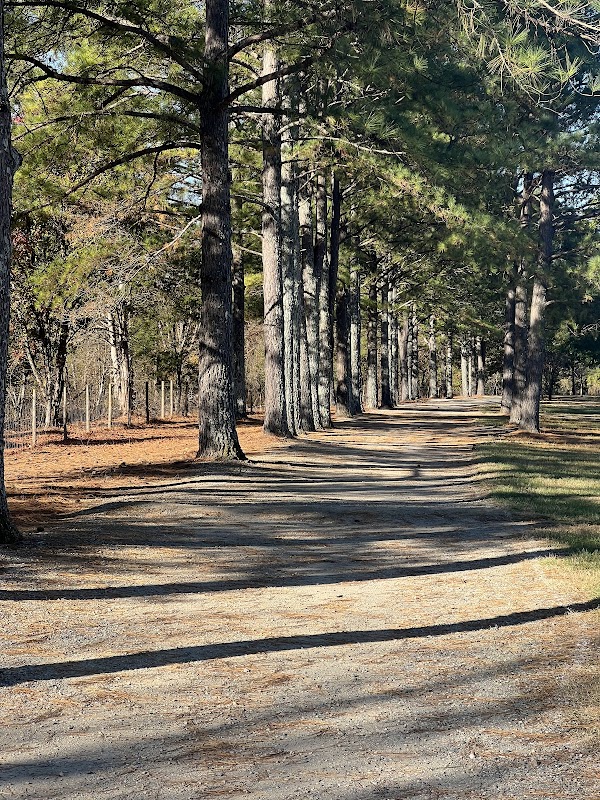 Home Builder Shelter at Frank Liske Park
