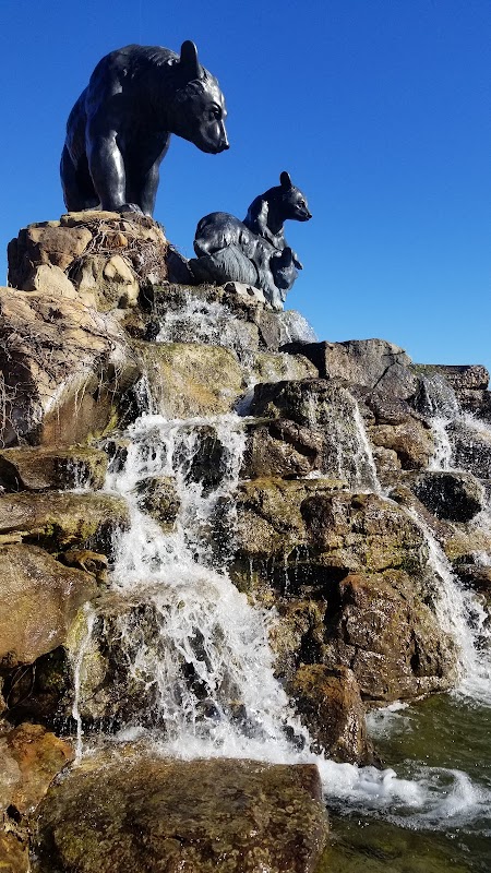 BOk Plaza - "Bruins' Riverpark Picnic"