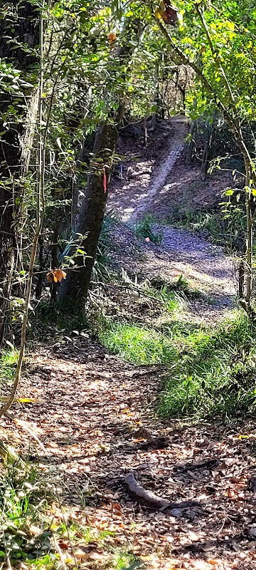 Gourley Nature Trail