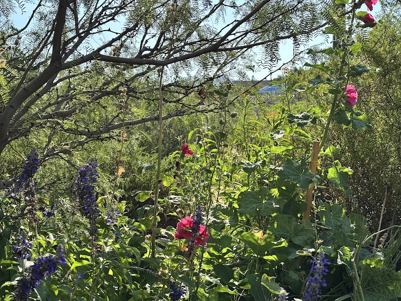 EDV Butterfly Garden