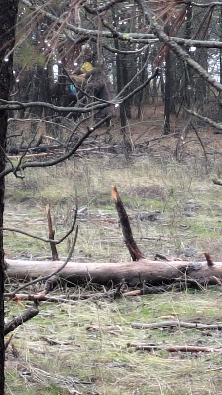 Joe Albi Natural Area