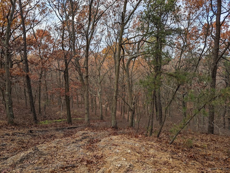 Pine Ridge Conservation Area