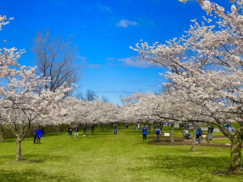 Cleveland Metroparks Brookside Reservation