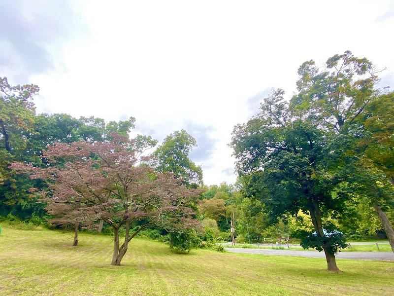 Chester Park