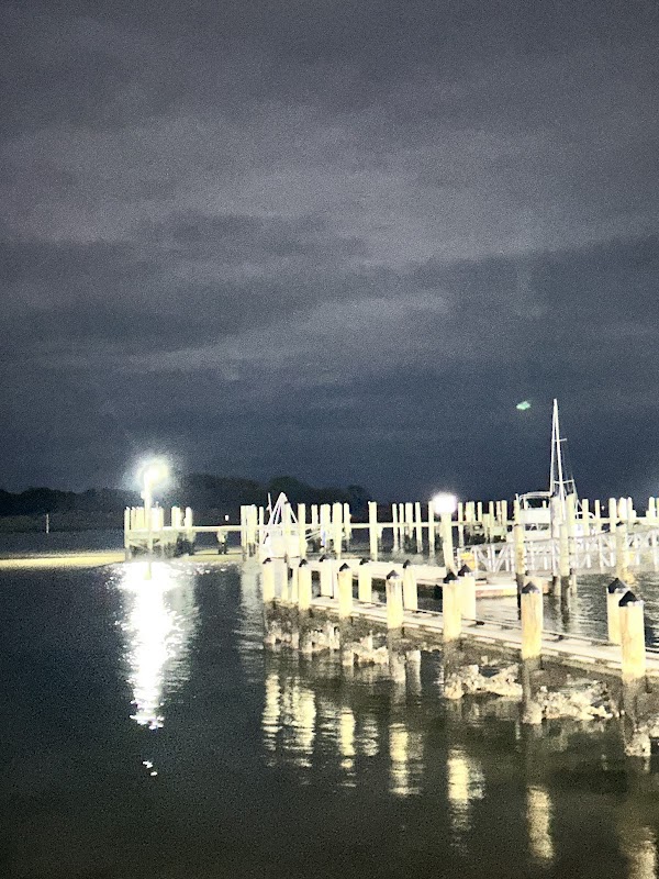 Messick Point Cheech Tree