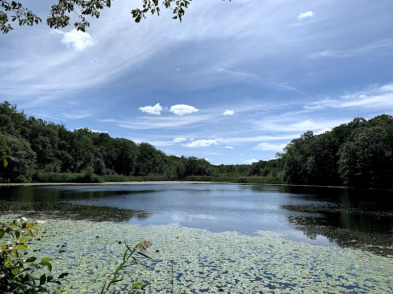 Cranberry Lake Preserve