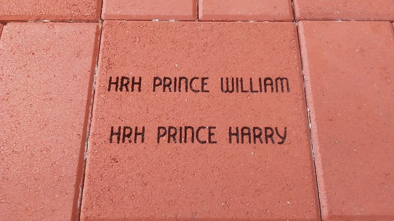 Museum of Polo & Hall of Fame