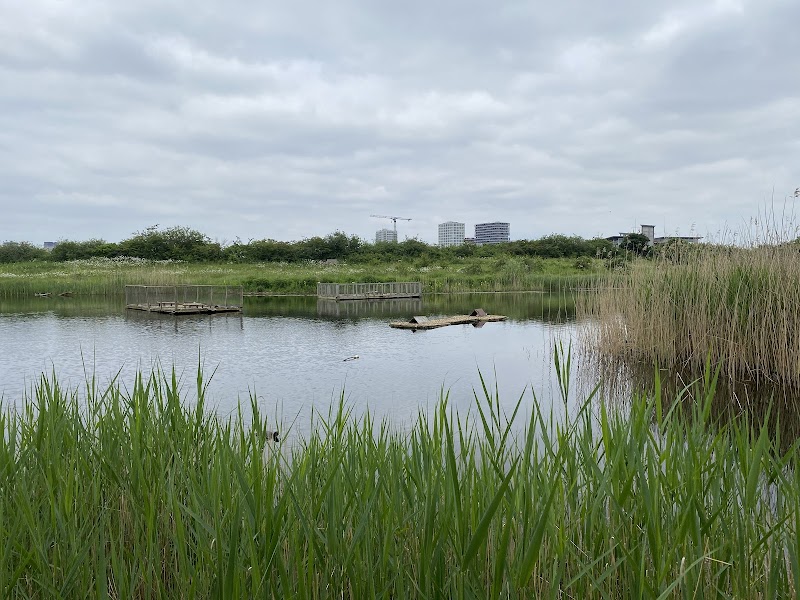 Greenwich Peninsula Ecology Park - TCV