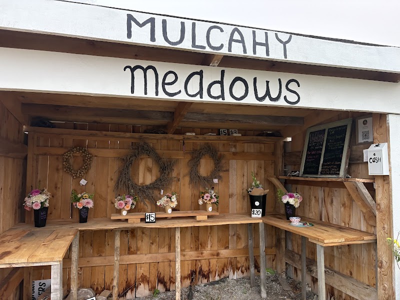 Mulcahy Meadows