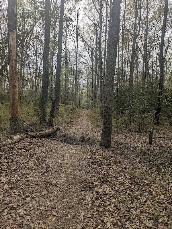 Cedarville Orange Trailhead