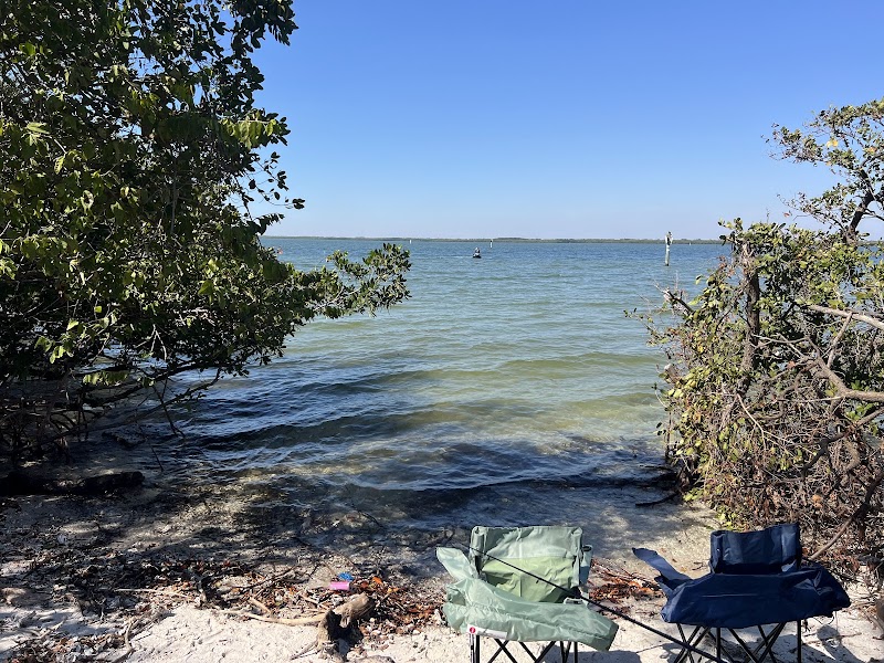 Courtney Campbell Causeway Bayside Fishing