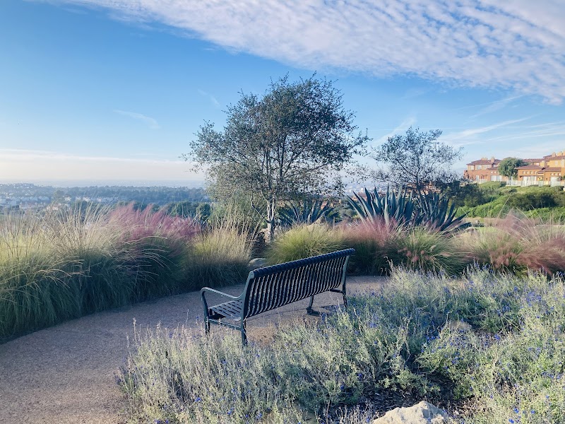 Vista Ridge View Park