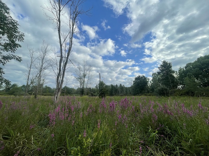 State Road Nature Preserve