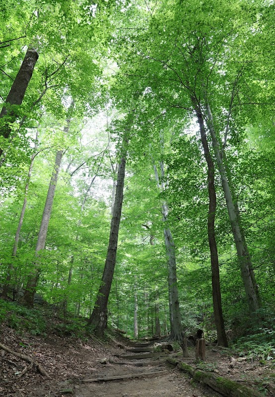 Potomac Overlook Regional Park