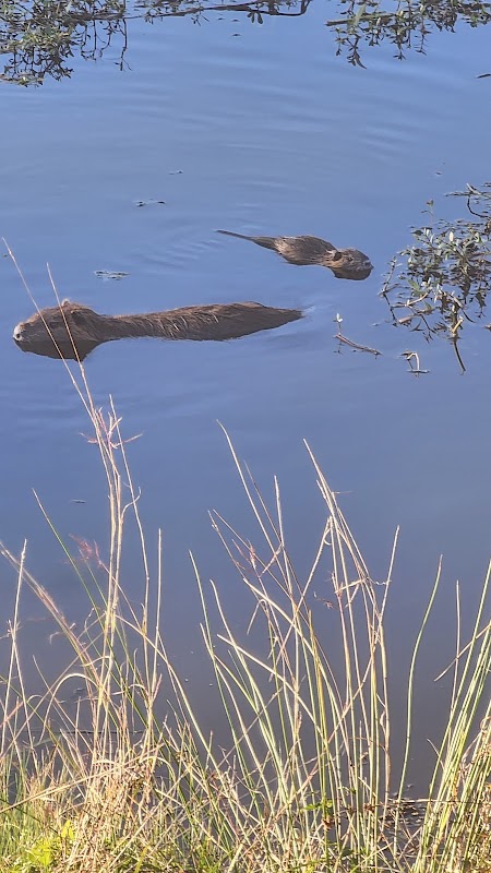 Gary and Bonnie Trietsch Park