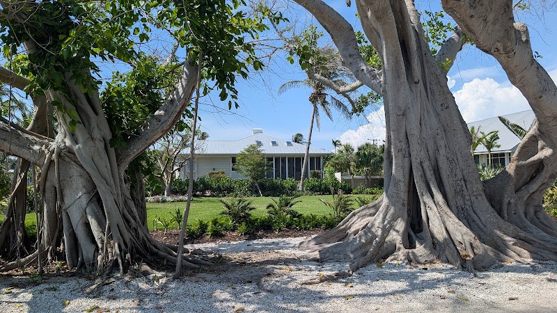 Banyan Street, Boca Grande