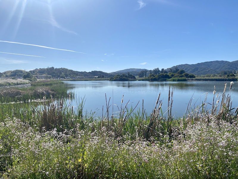 Las Gallinas Valley Birding Loop