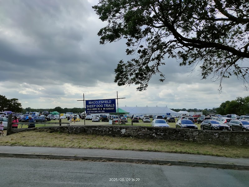 Macclesfield Sheep Dog Trials