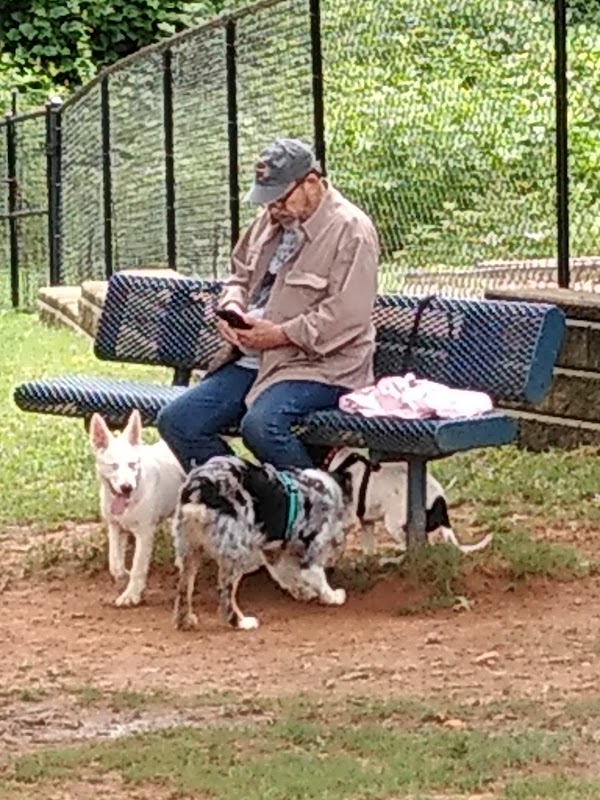 Smyrna Dog Park