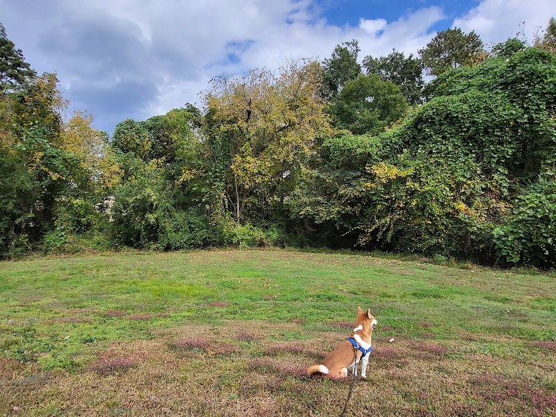 Smyrna Dog Park