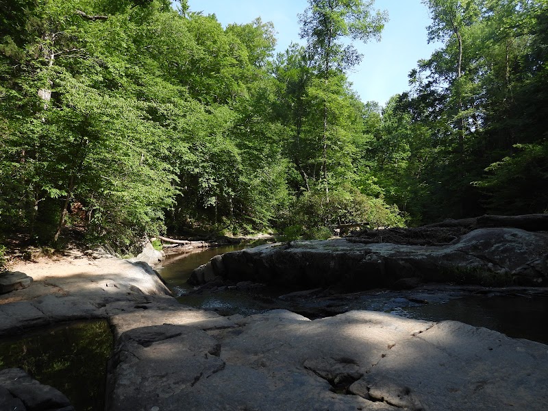 Prince William Forest Lot B