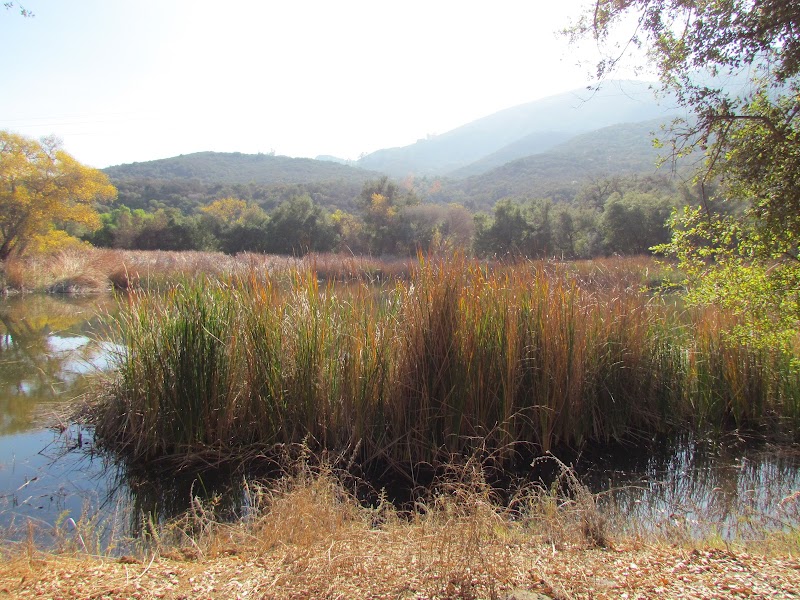 Wilderness Gardens Upper Meadow