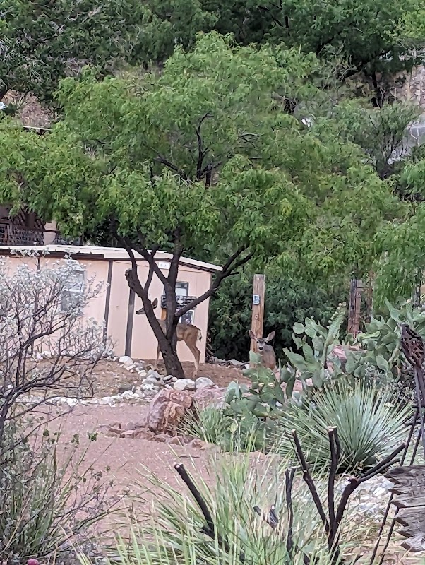 Roadrunner Park