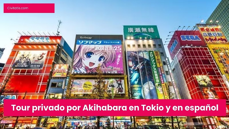 Tour privado por Akihabara en Tokio y en español