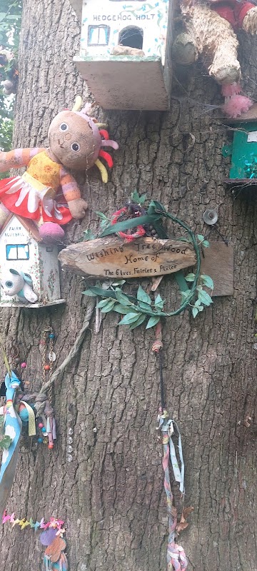 Magic fairy tree