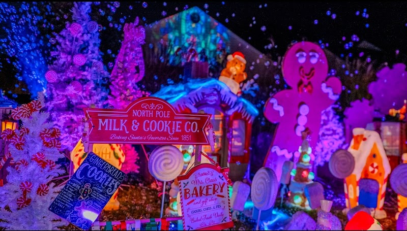 Marlin Christmas Wonderland