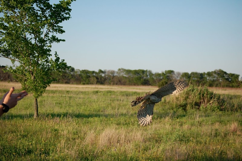 Last Chance Forever, Inc