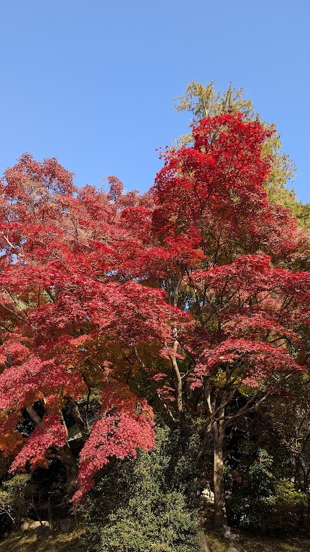 Yoshinosawa Park