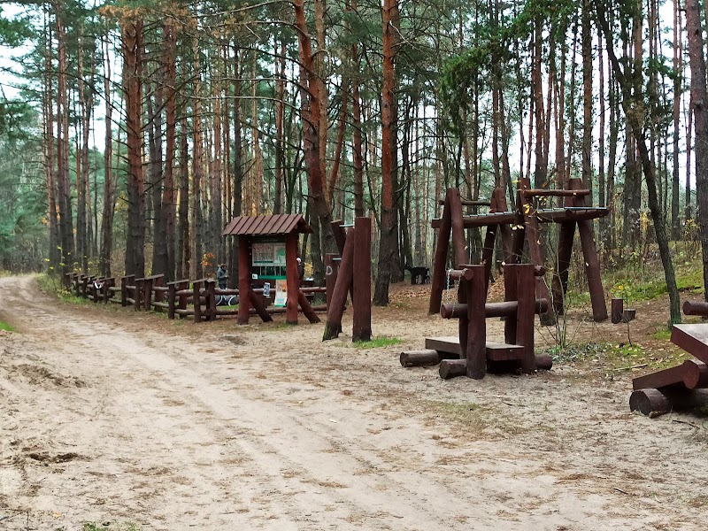 Las przy ulicy Olesin