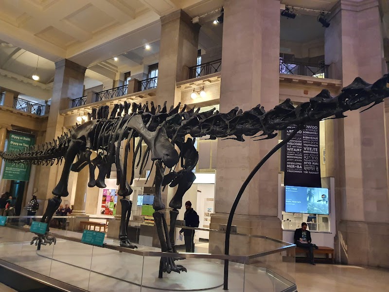 National Museum Cardiff