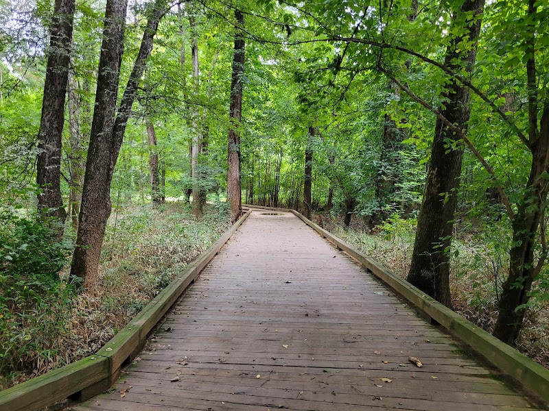 Lower McAlpine Creek Greenway