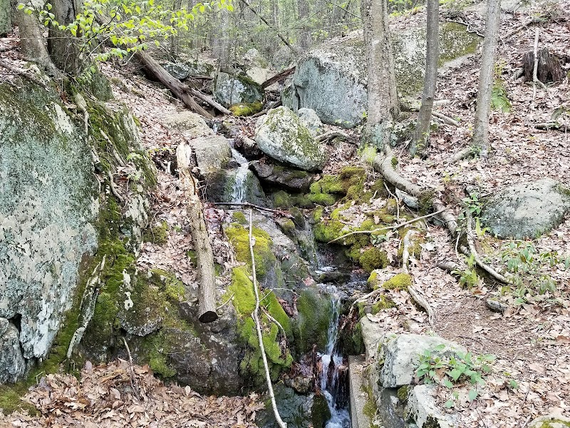 Pootatuck State Forest