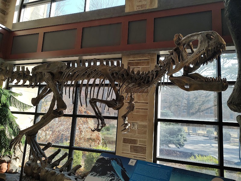 Augustana's Fryxell Geology Museum