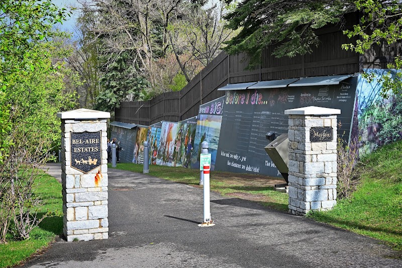 Big Dream big Chalk wall