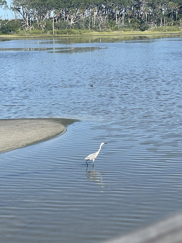 Spoonbill Pond