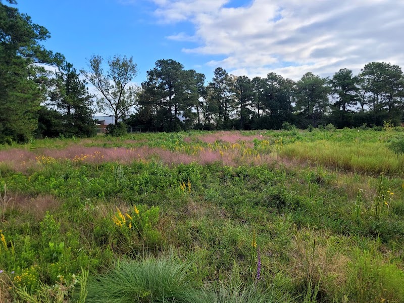 Harris County Prairie Dawn Preserve