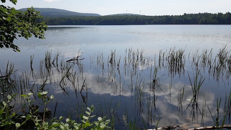 Zins Conservation Area