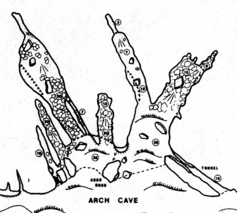 Arch Sea Cave