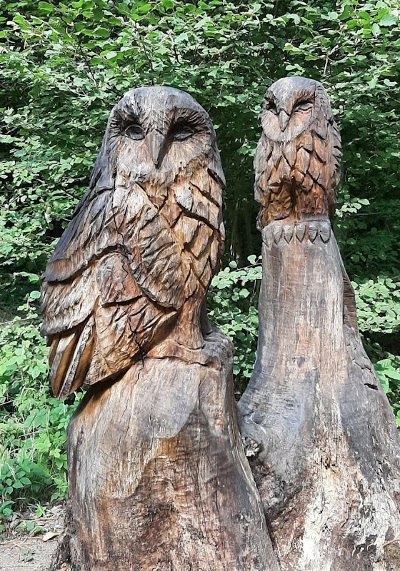 Owl Carvings