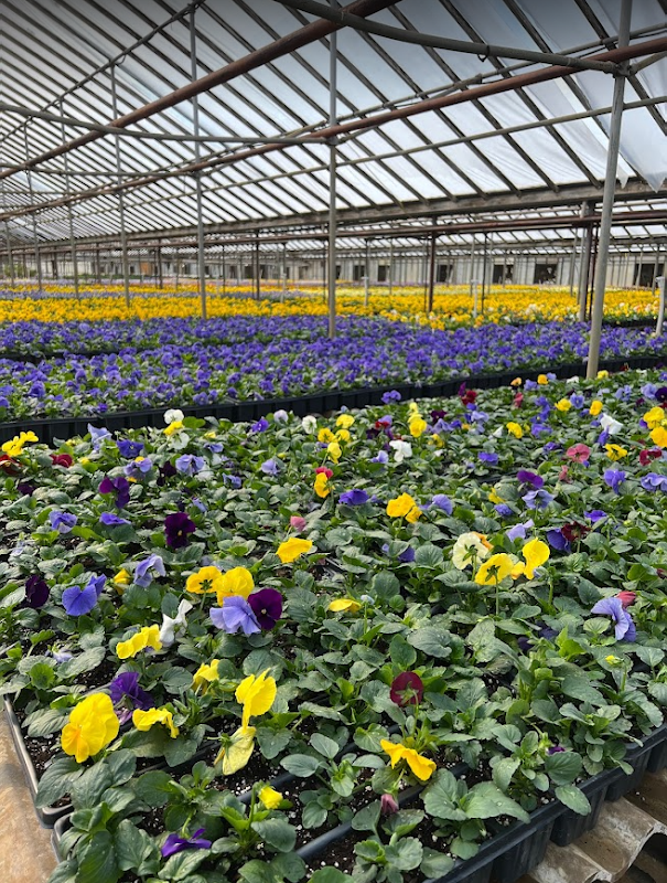 Northside Greenhouse, LLC