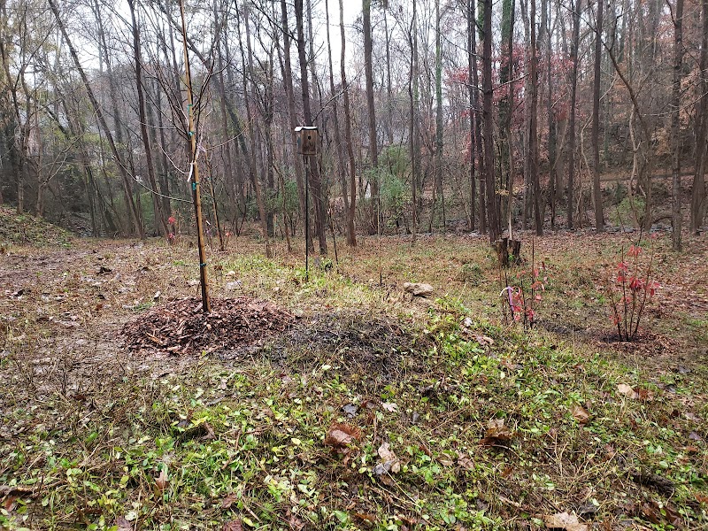 Mountain Way Common